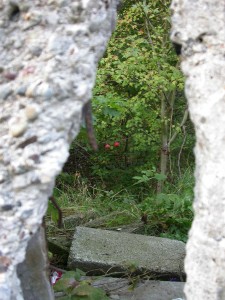 through a crack