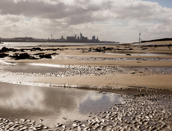 rsz_new-brighton-9645-8-1