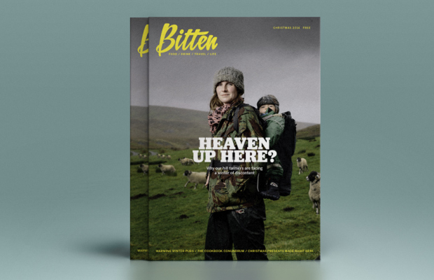 bitten_issue_2